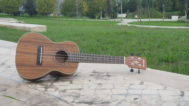 Ukulele Concerto - Vista Quadrada