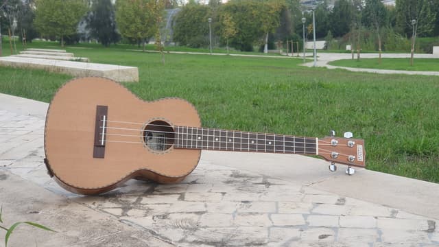 Ukulele Tenor - Vista Quadrada