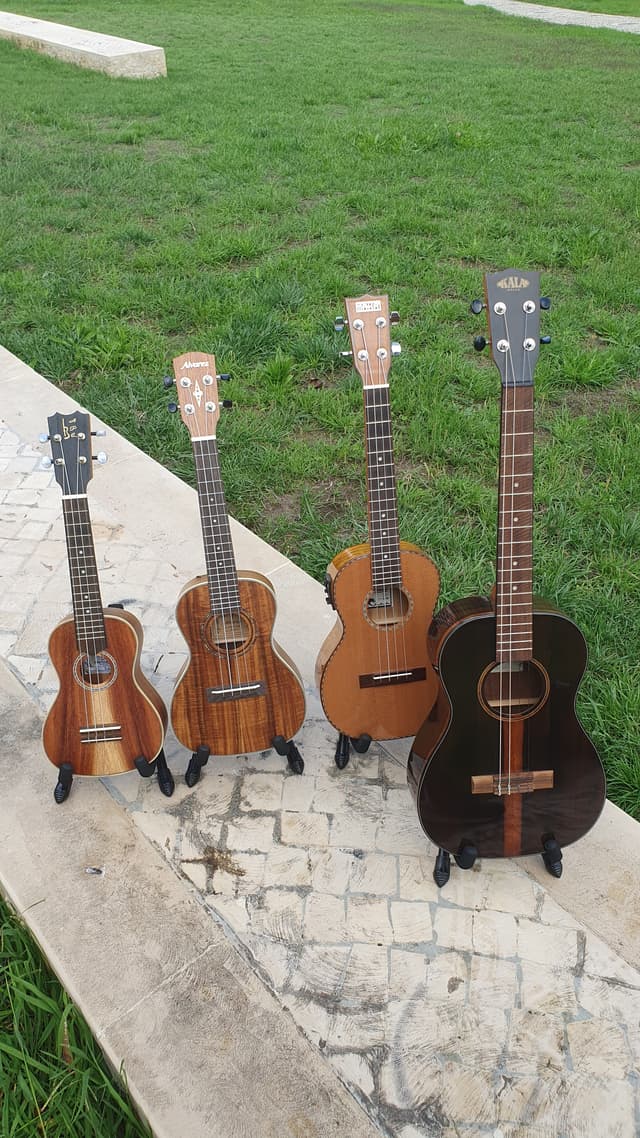Ukulele Barítono - Vista Vertical