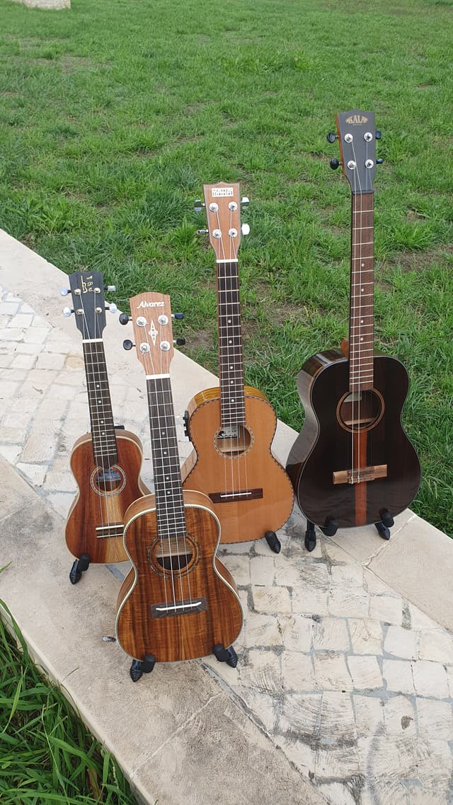 Ukulele Concerto - Vista Vertical