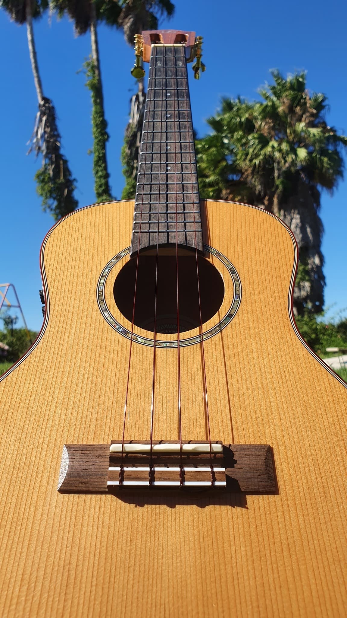 Ukulele on a beautiful beach